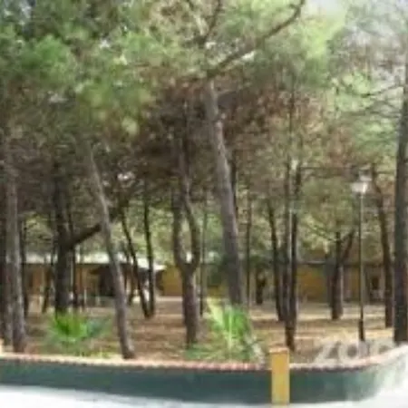 Ciudad Del Cine Coin